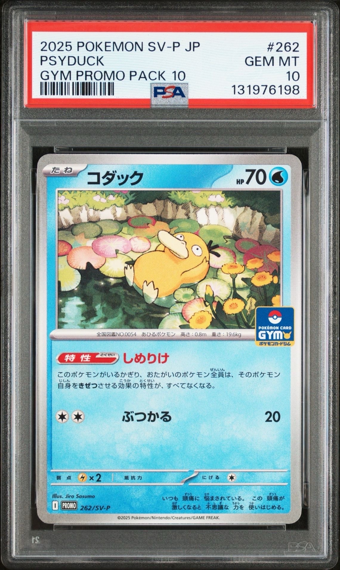 コダック P [SV-P 262](プロモカードパック「第10弾」)