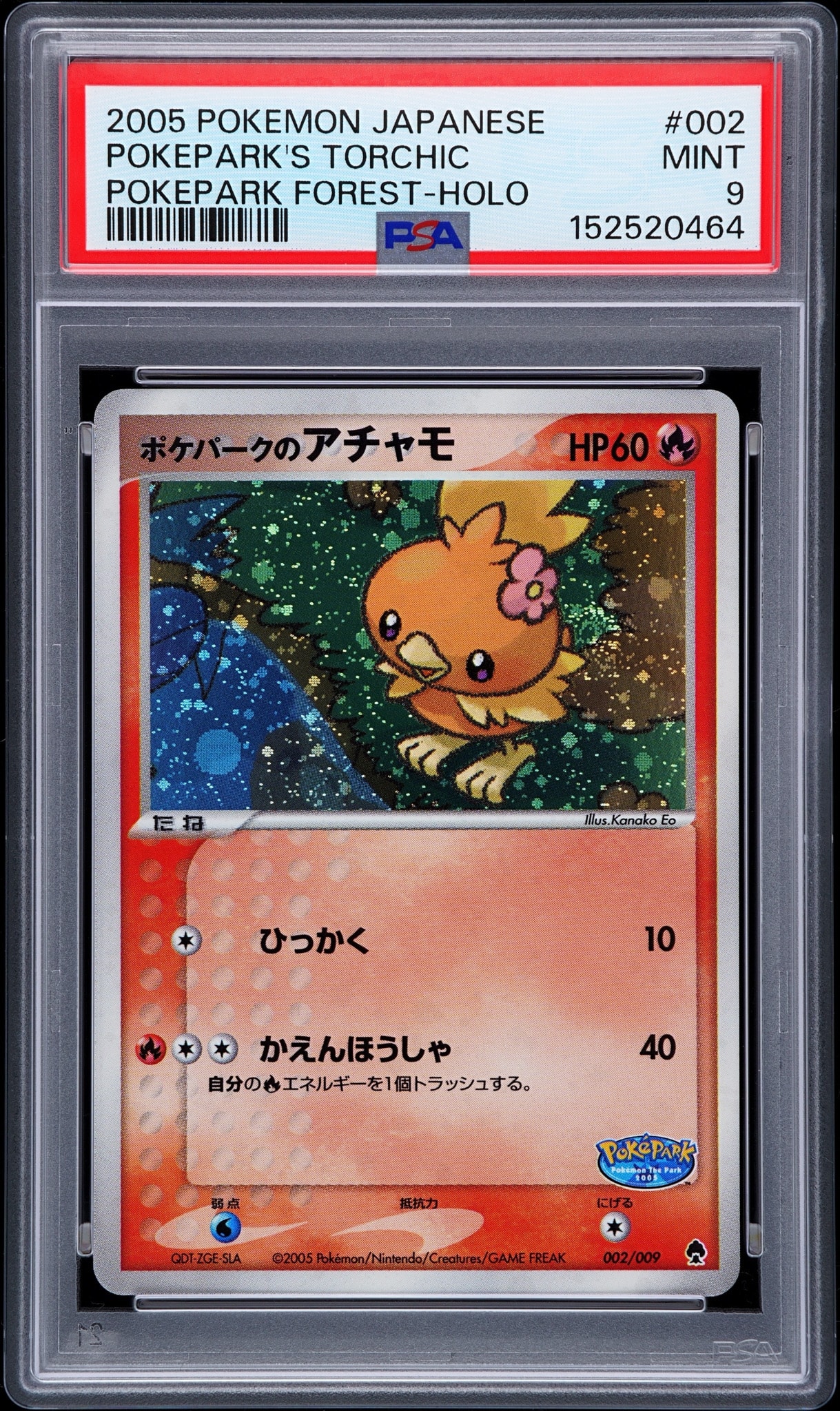 ポケパークのアチャモ [PCG 002/009](ポケパークプレミアムファイル