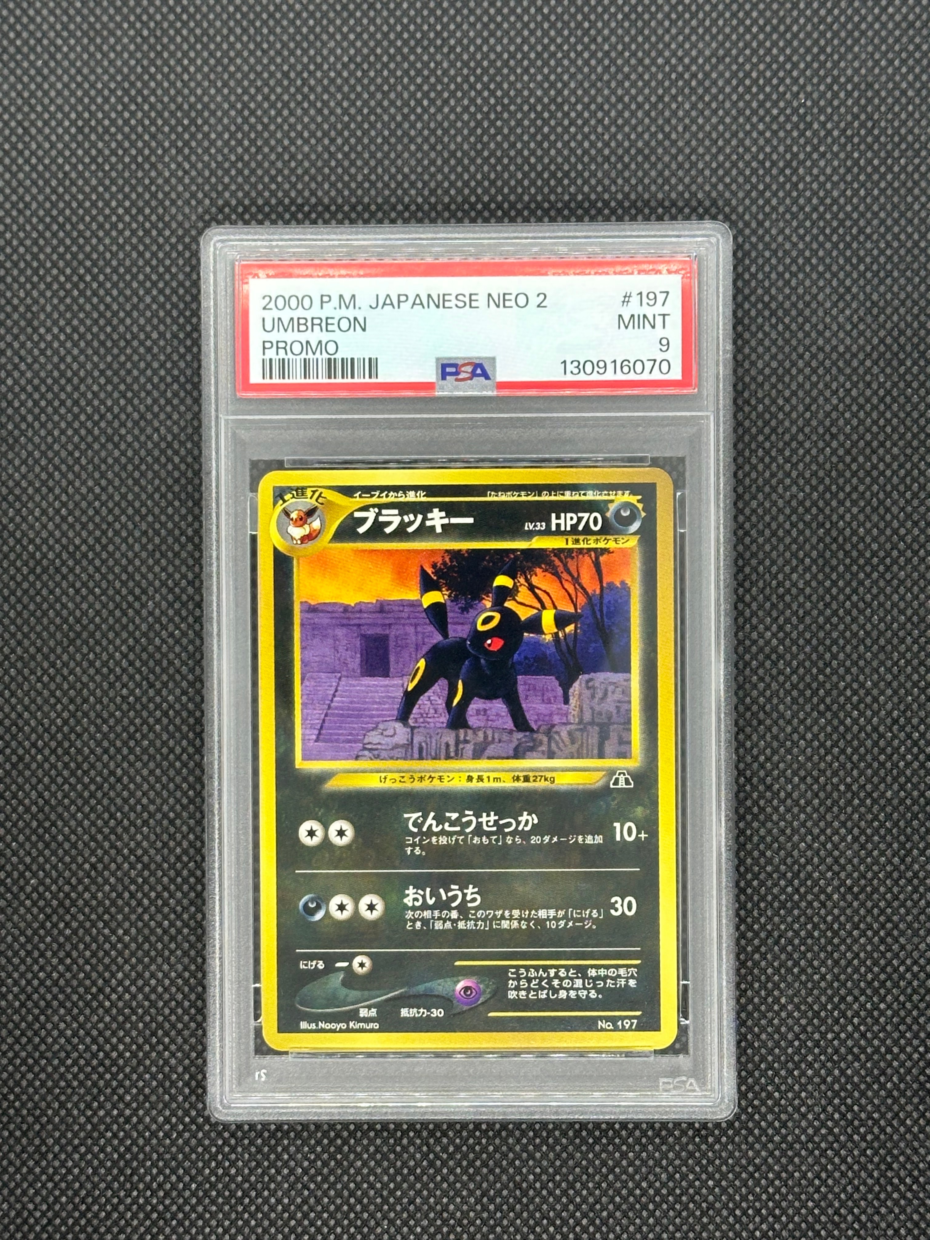 ブラッキープレミアムファイル2: 旧裏[neoP2 No.197](プレミアムファイル2)