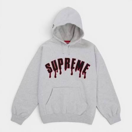 SUPREME ゴーストフェイス　フーデイ　アッシュグレー A (未使用に近い)】シュプリーム ゴーストフェイス アークフーデッド