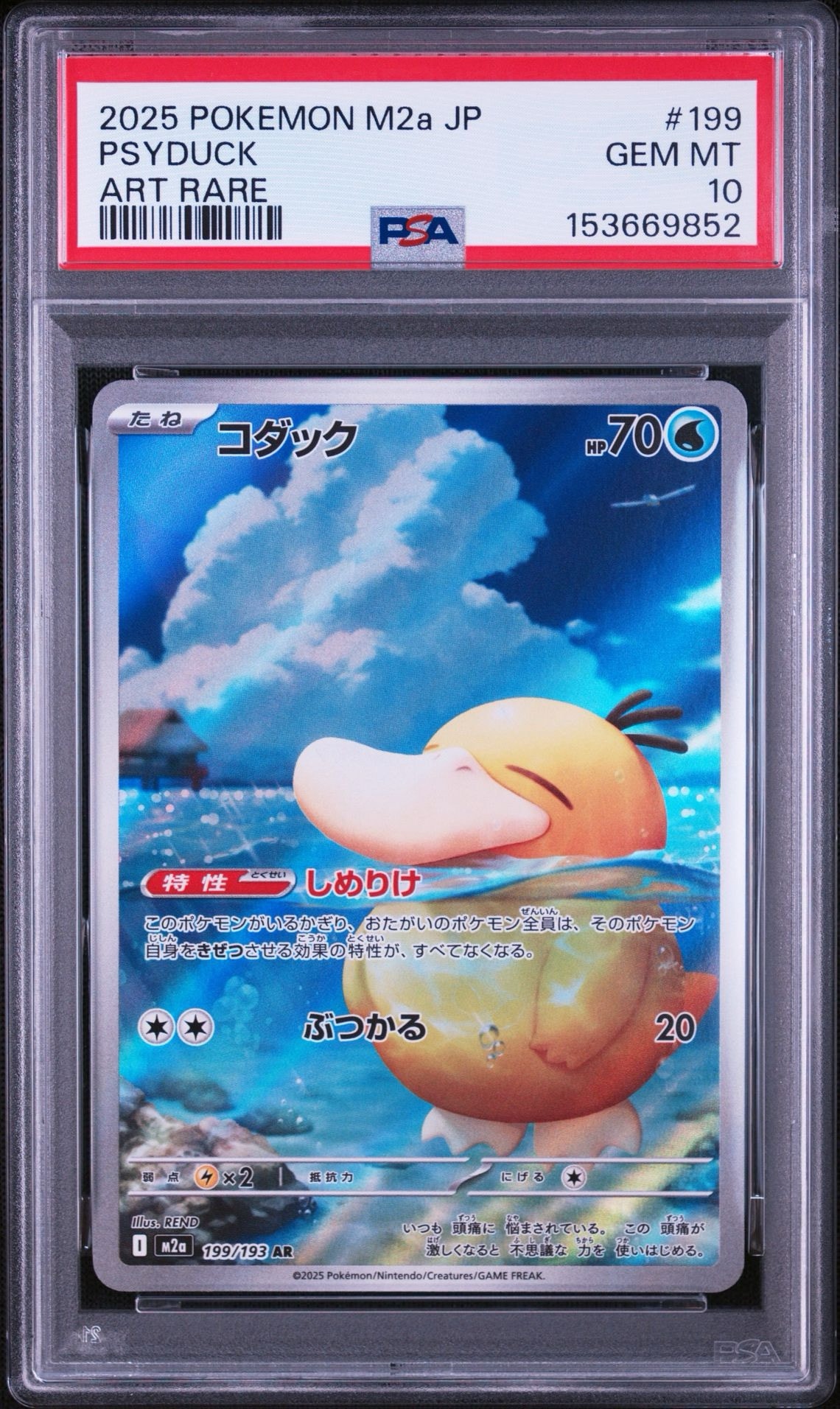 コダック AR [M2a 199/193](ハイクラスパック「MEGAドリームex」)通販