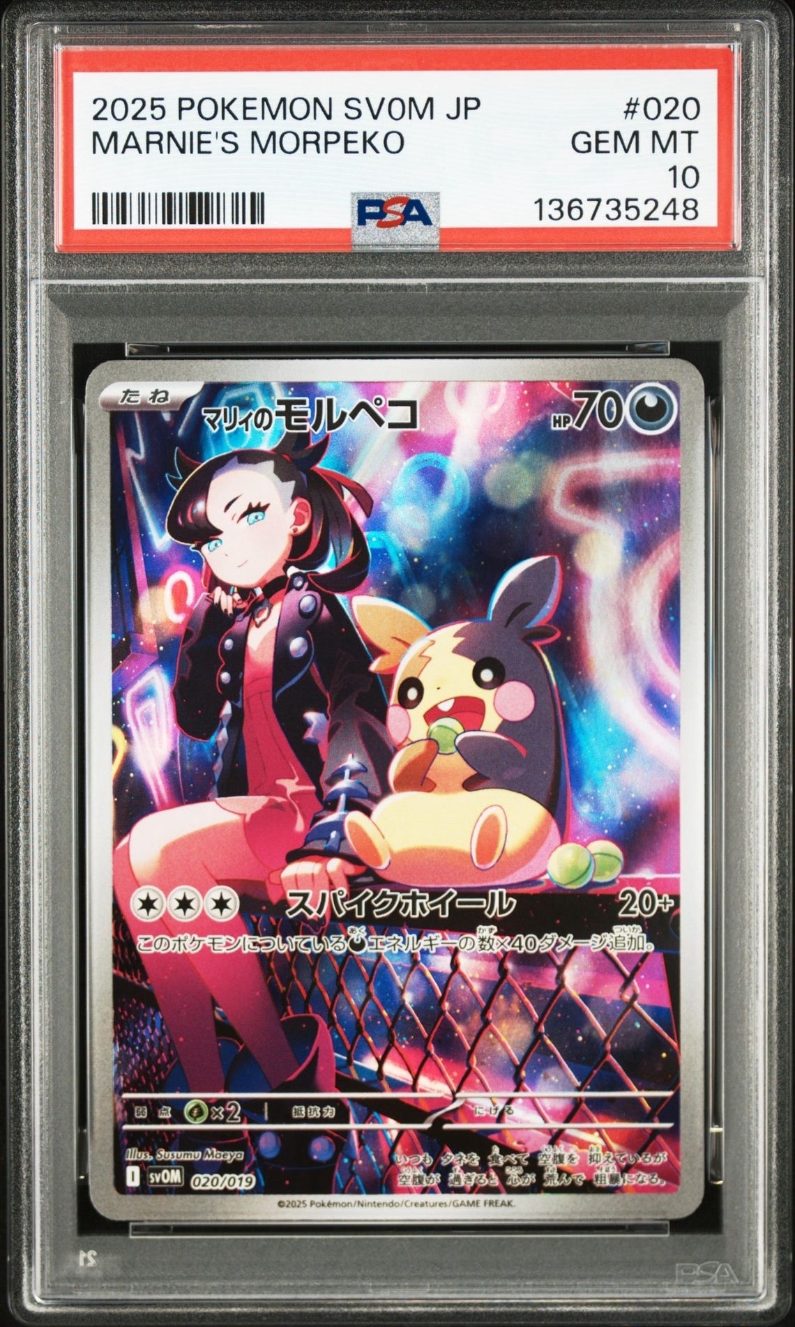 ゼクロムGX HR: 争奪戦プロモ[SM-P 240](プロモーションカード「SM-P