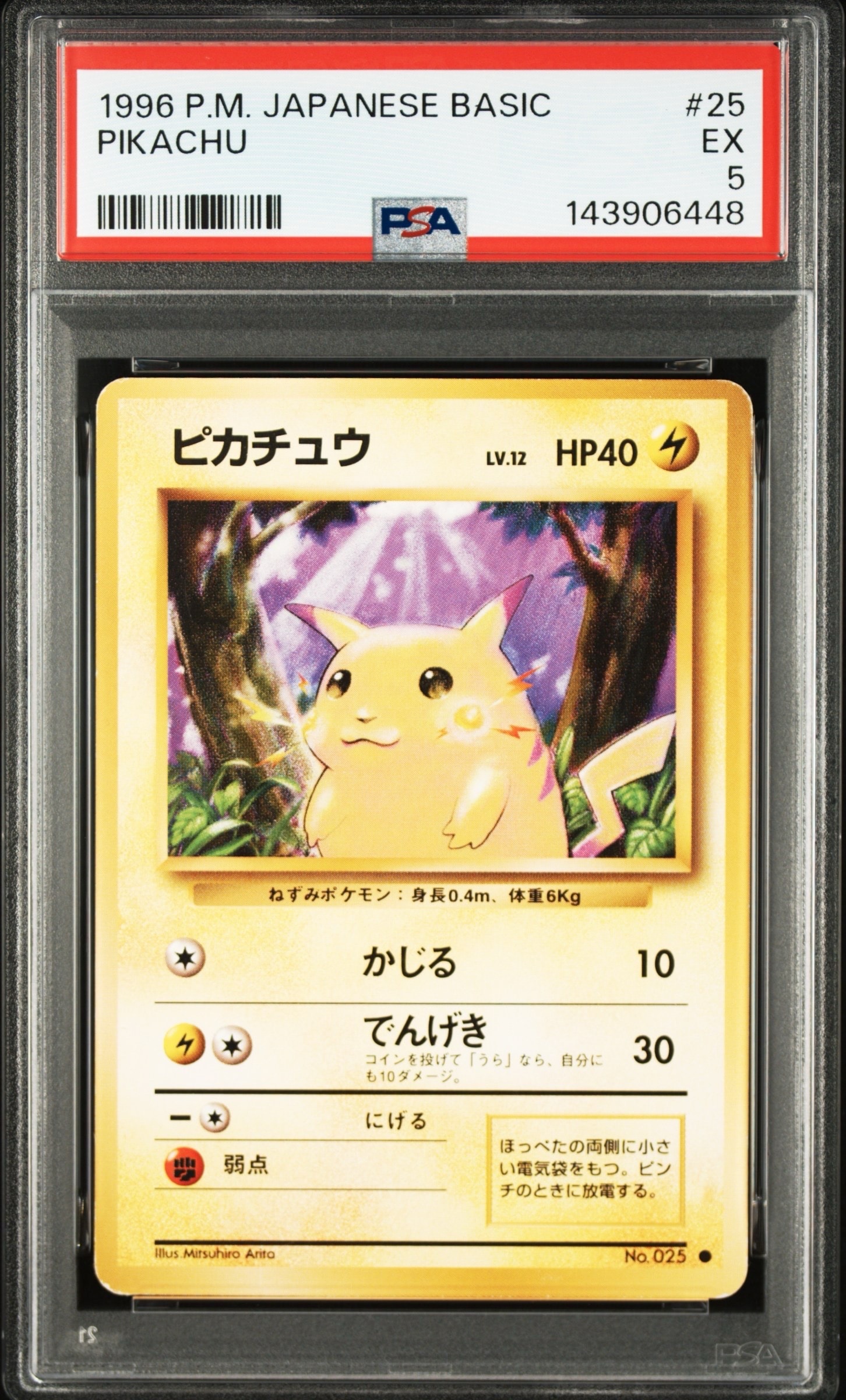 ピカチュウ ● : 旧裏 [PMCG1-2](拡張パック「ポケットモンスター カードゲーム」再販)