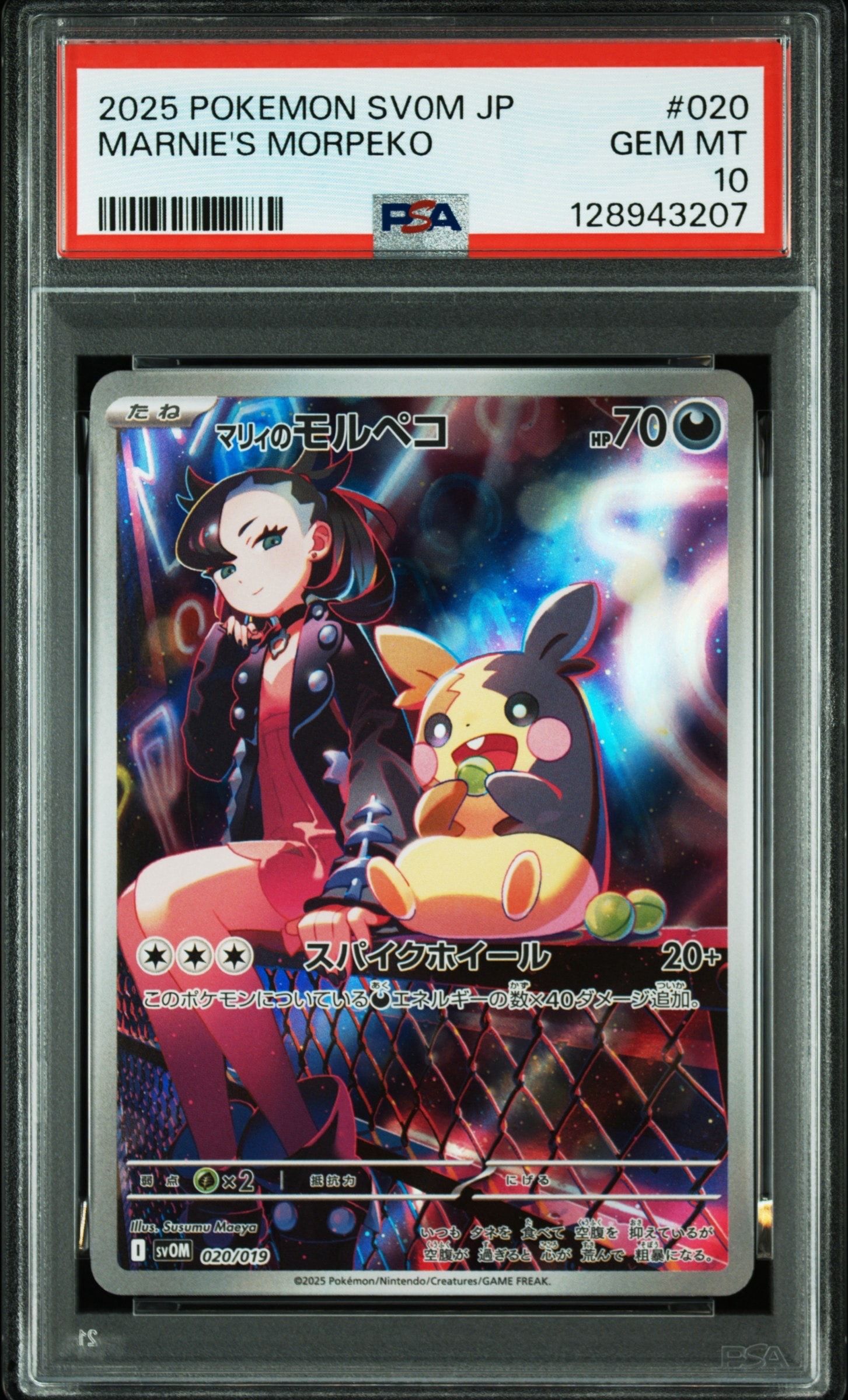 マリィのモルペコ [SVOM 020/019](スターターセットex「マリィのモルペコ＆オーロンゲex」)