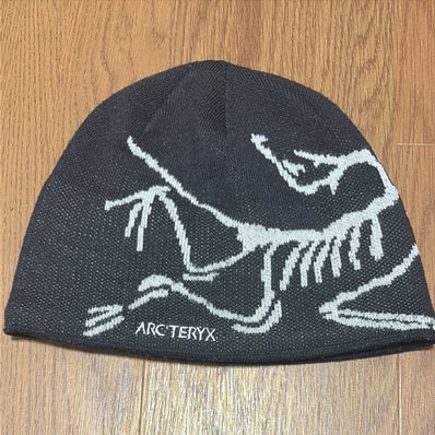 ARC'TERYX Bird Head Toque ARC'TERYX Bird Head Toque