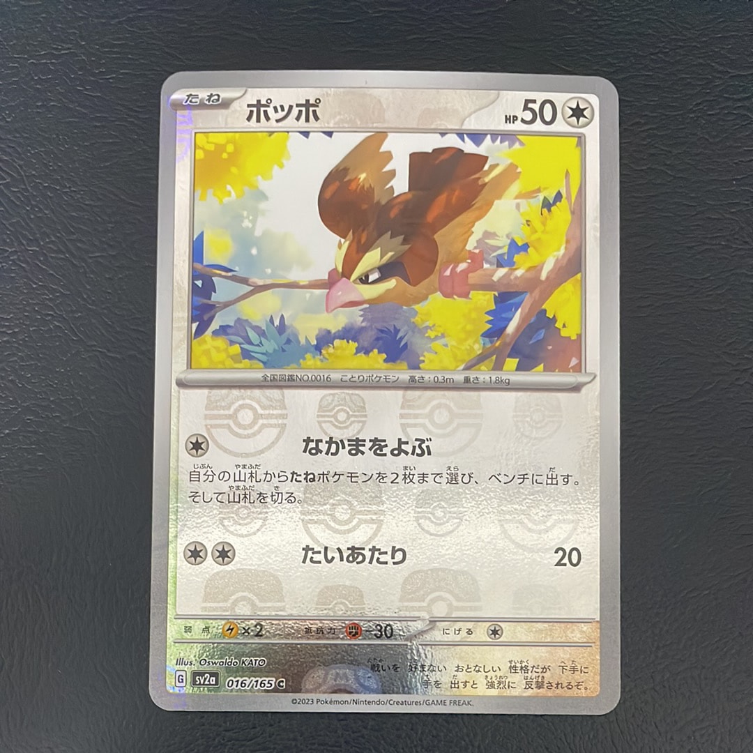 ポッポ C: マスターボールミラー[SV2a 016/165](強化拡張パック「ポケモンカード151」)