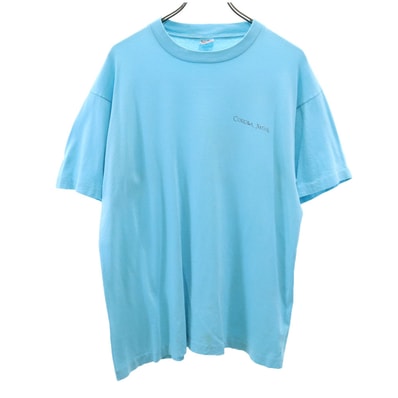 FRUIT OF THE LOOM フルーツオブザルーム 90s USA製 オールド バックプリント 半袖 Tシャツ L ブルー