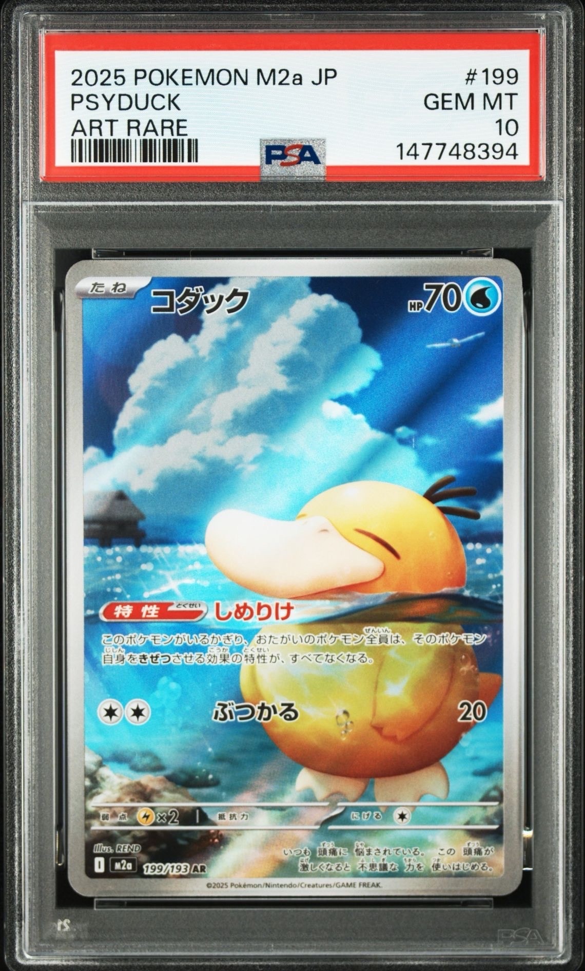 基本炎エネルギー リザードンメガバトル: プロモ[XY-P](プロモーション