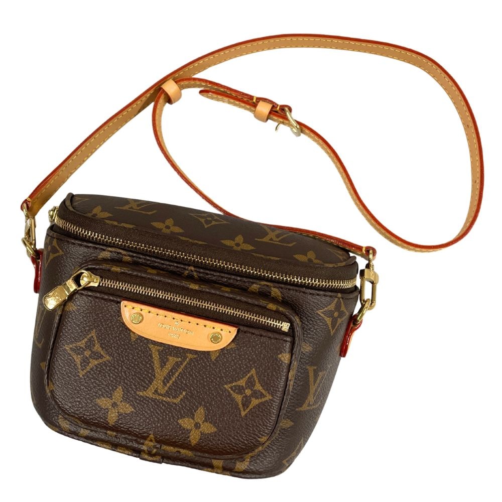 Louis Vuitton Mini Bumbag Monogram