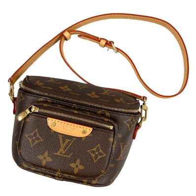 Louis Vuitton Mini Bumbag Monogram