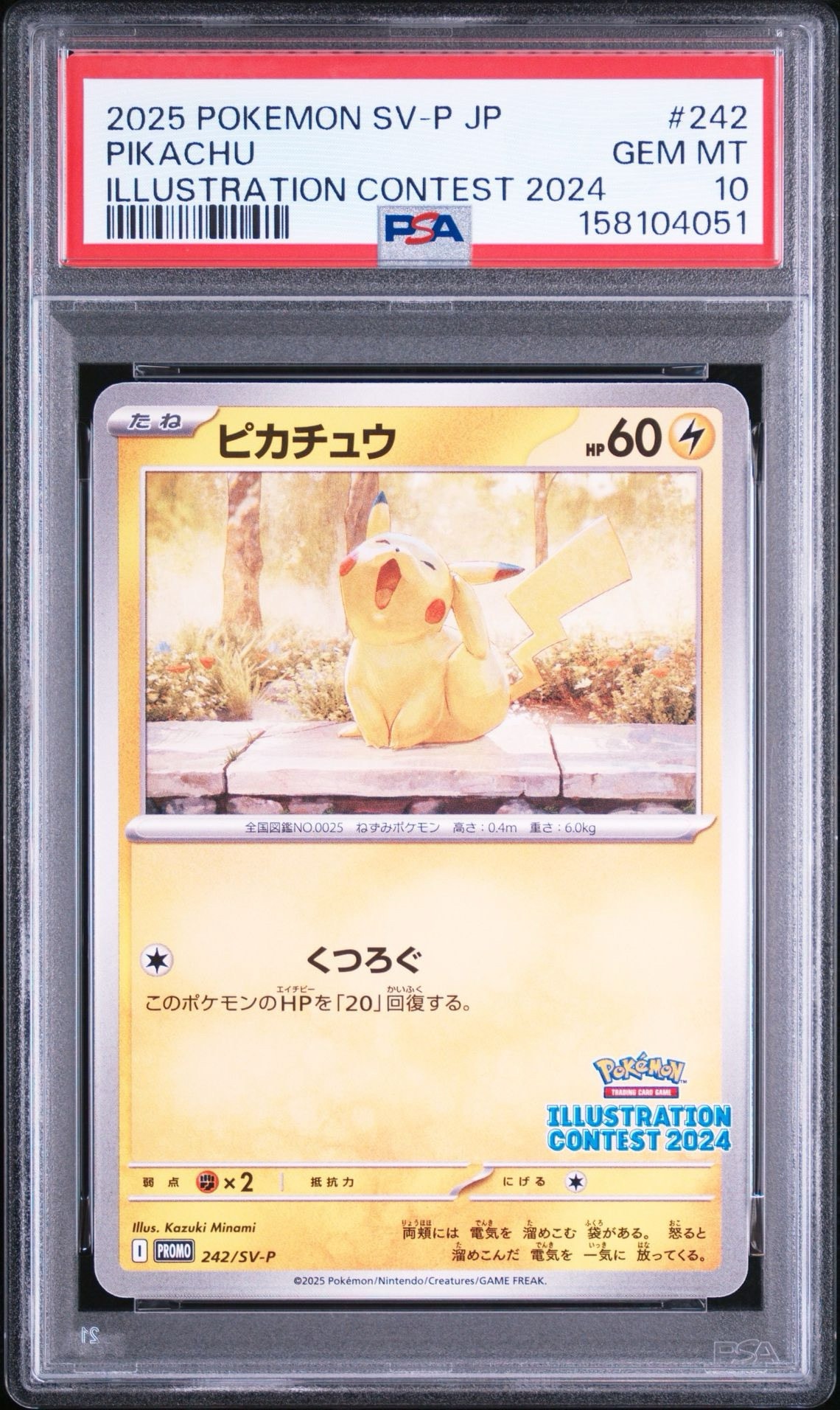 ピカチュウ [SV-P 242](プロモカードパック「イラストレーション