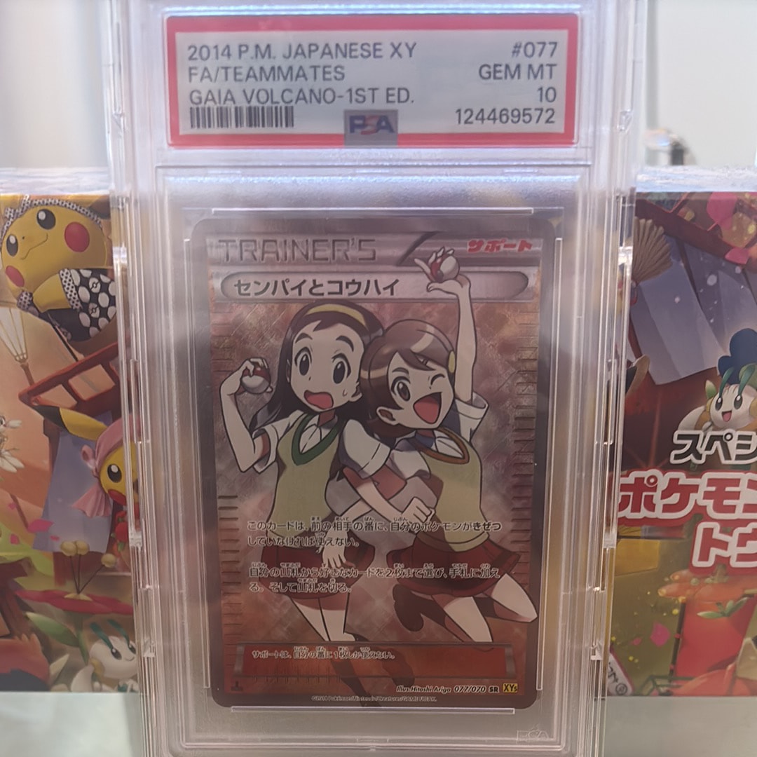 センパイとコウハイ SR :1ED [XY5-G 077/070](拡張パック「ガイア