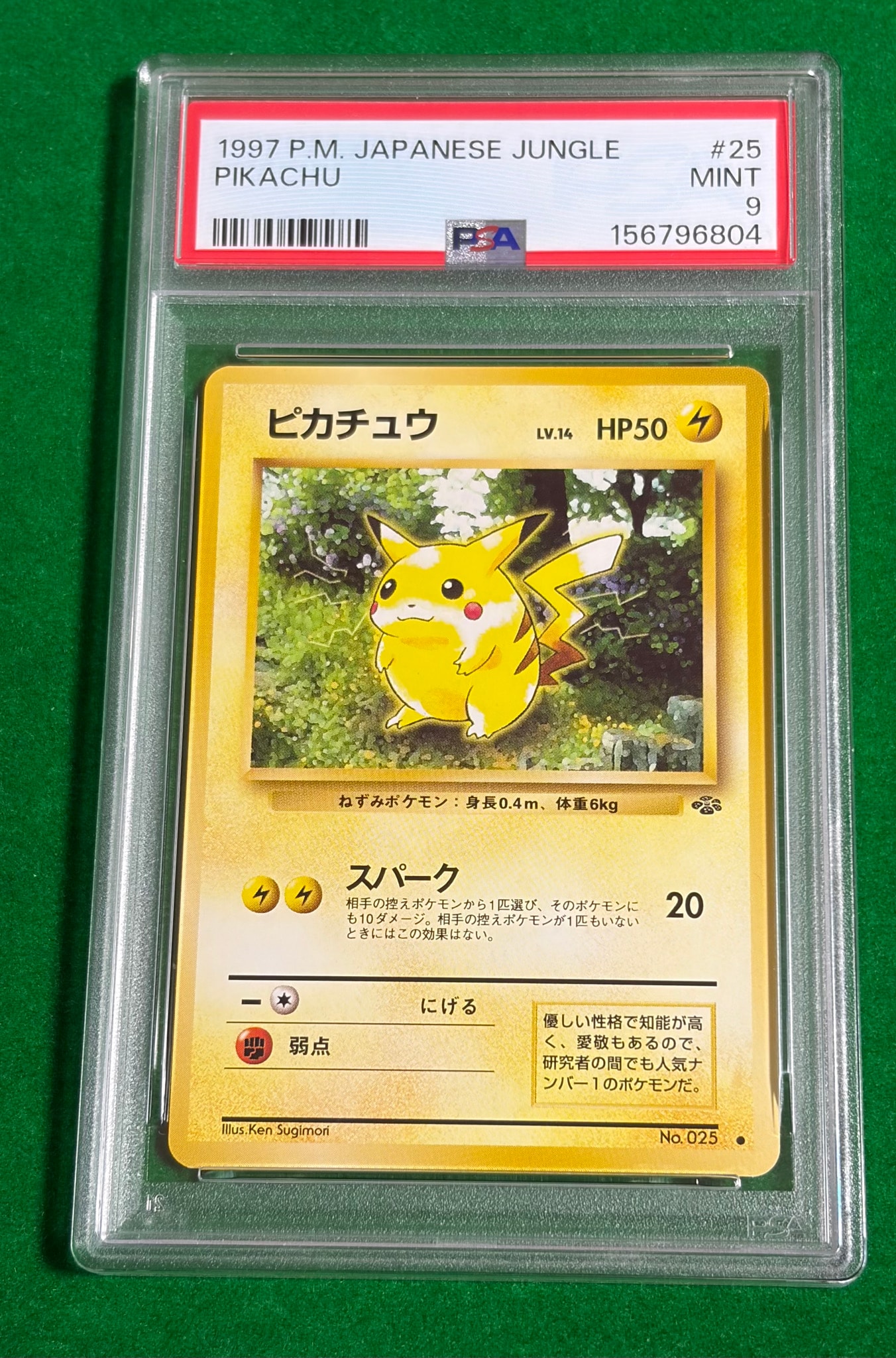 ピカチュウ ○ : 旧裏 [PMCG2 No.025](拡張パック「ポケモンジャングル