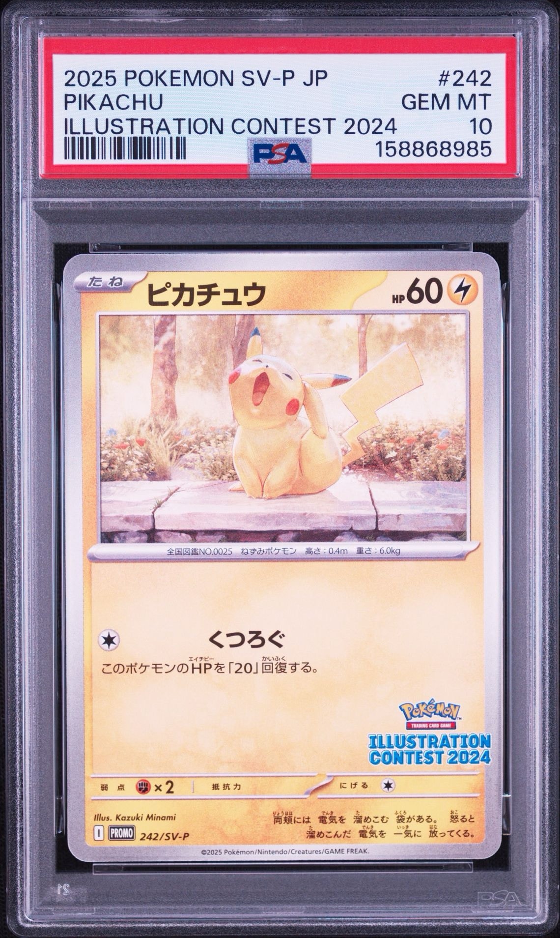 ピカチュウ [SV-P 242](プロモカードパック「イラストレーション