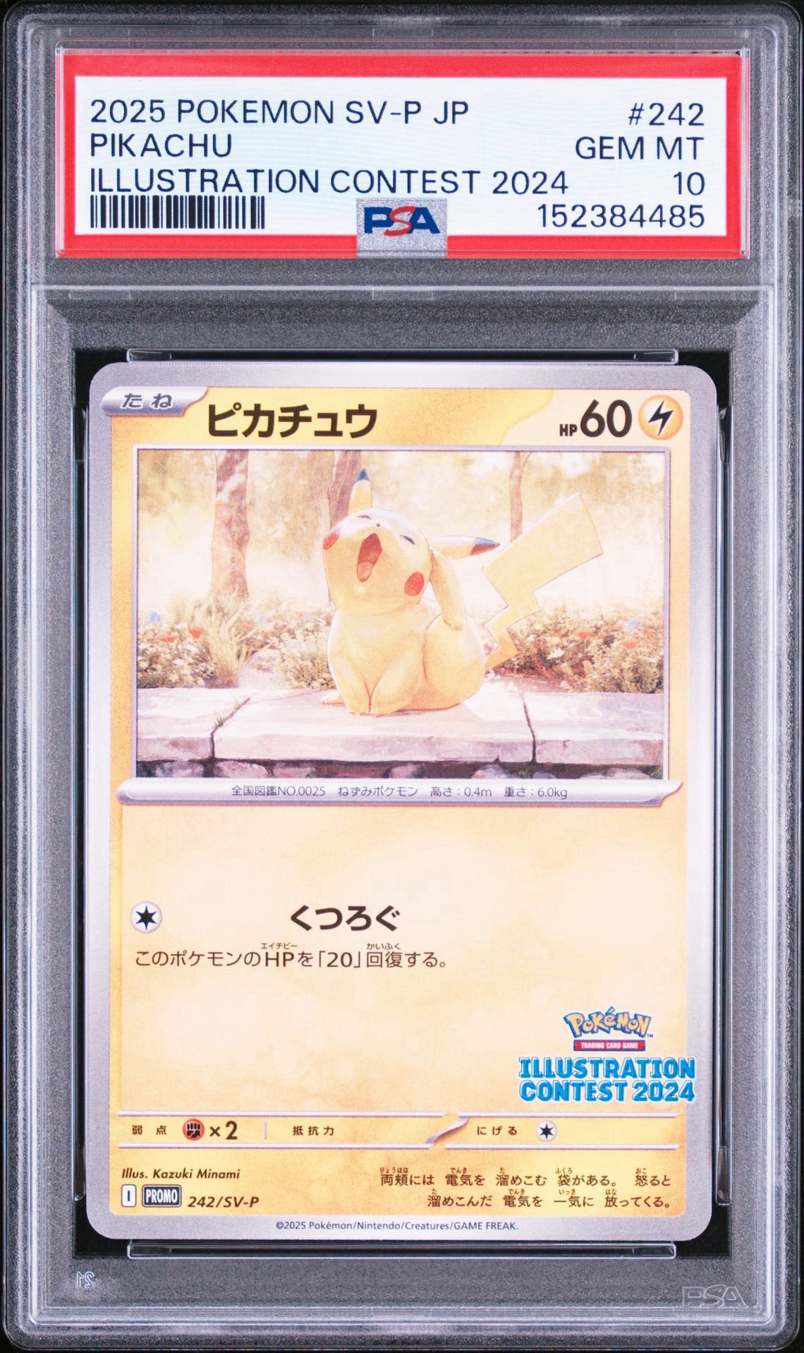 ピカチュウ [SV-P 242](プロモカードパック「イラストレーション