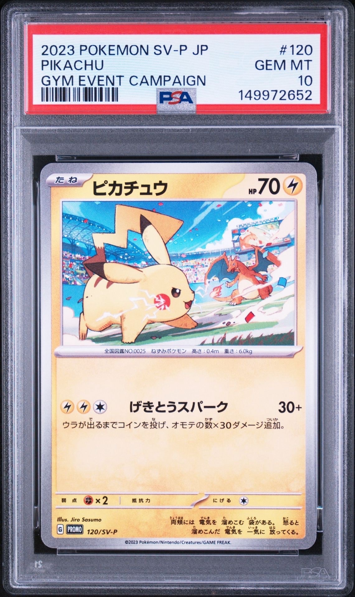 ピカチュウ: プロモ [SV-P 120](プロモーションカード「SV-P」)の新品