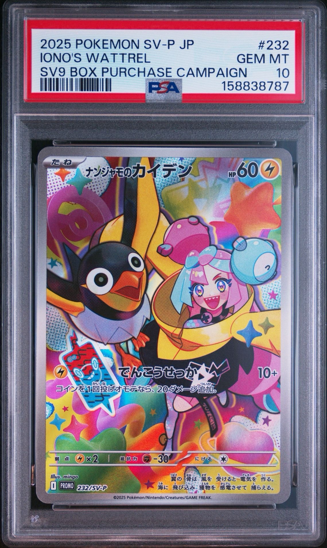 ナンジャモのカイデン P [SV-P 232](プロモーションカード「拡張パック