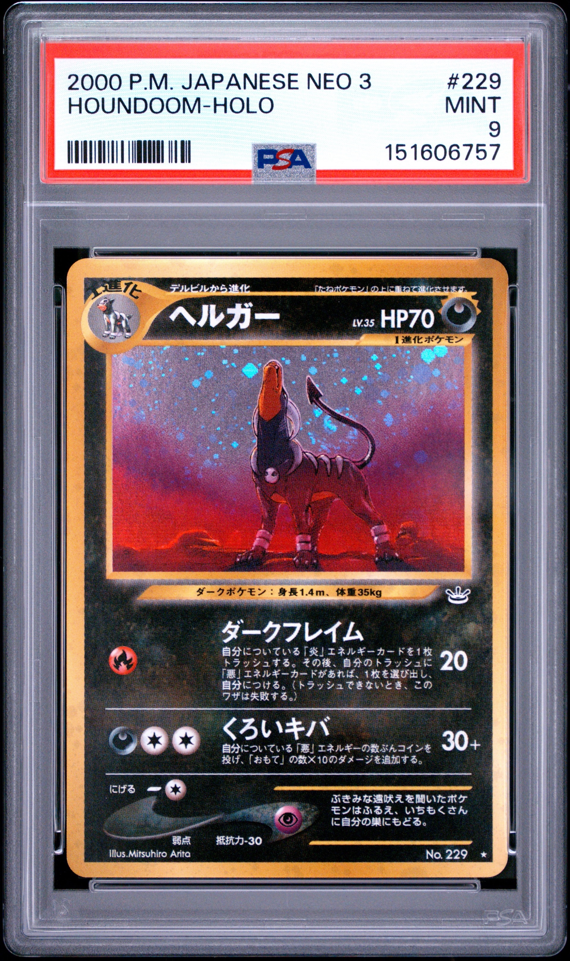 ヘルガー ★ : 旧裏 [neo3 No.229](ポケモンカード★neo 拡張パック「めざめる伝説」)