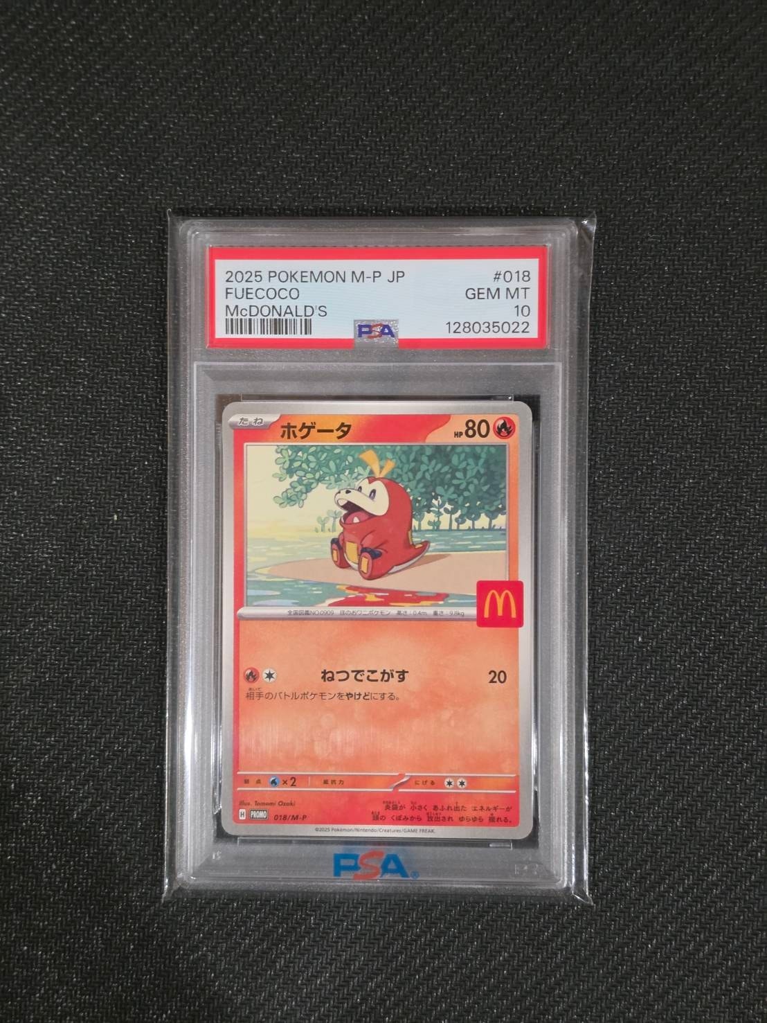 Fuecoco - 018/M-P