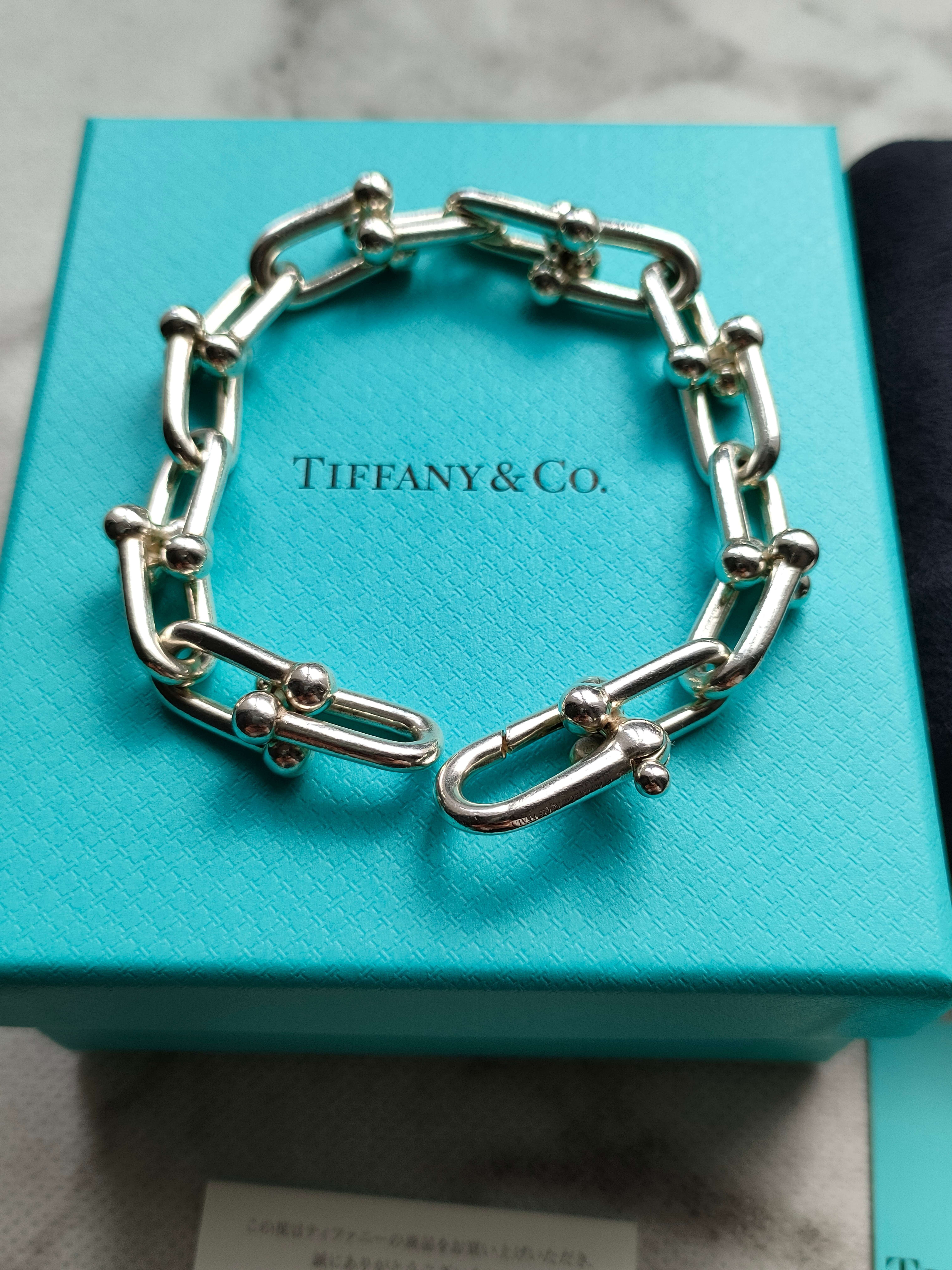 Tiffany & Co. HardWear Large Link Bracelet "Sterling Silver"