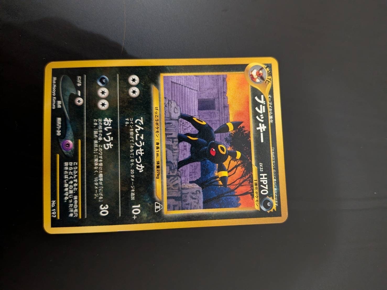 PSA10】ブラッキープレミアムファイル2: 旧裏[neoP2 No.197