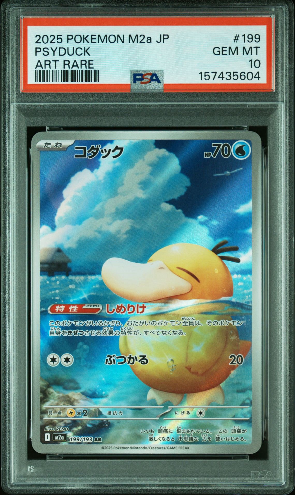 コダック AR [M2a 199/193](ハイクラスパック「MEGAドリームex」)通販