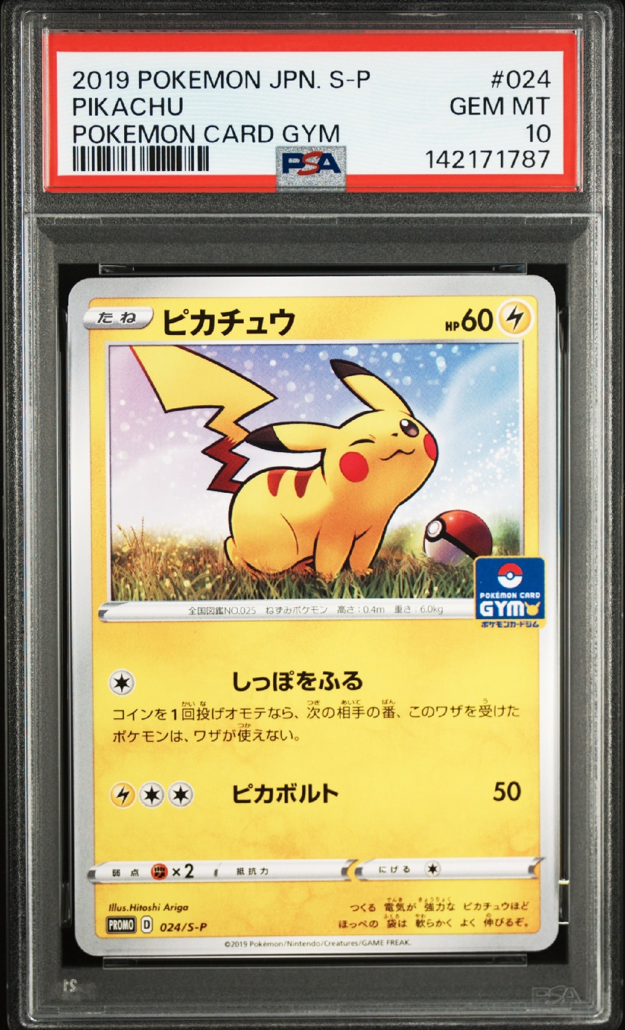 PSA10】ピカチュウ: プロモ P [S-P 024](ポケモンカードゲーム ソード