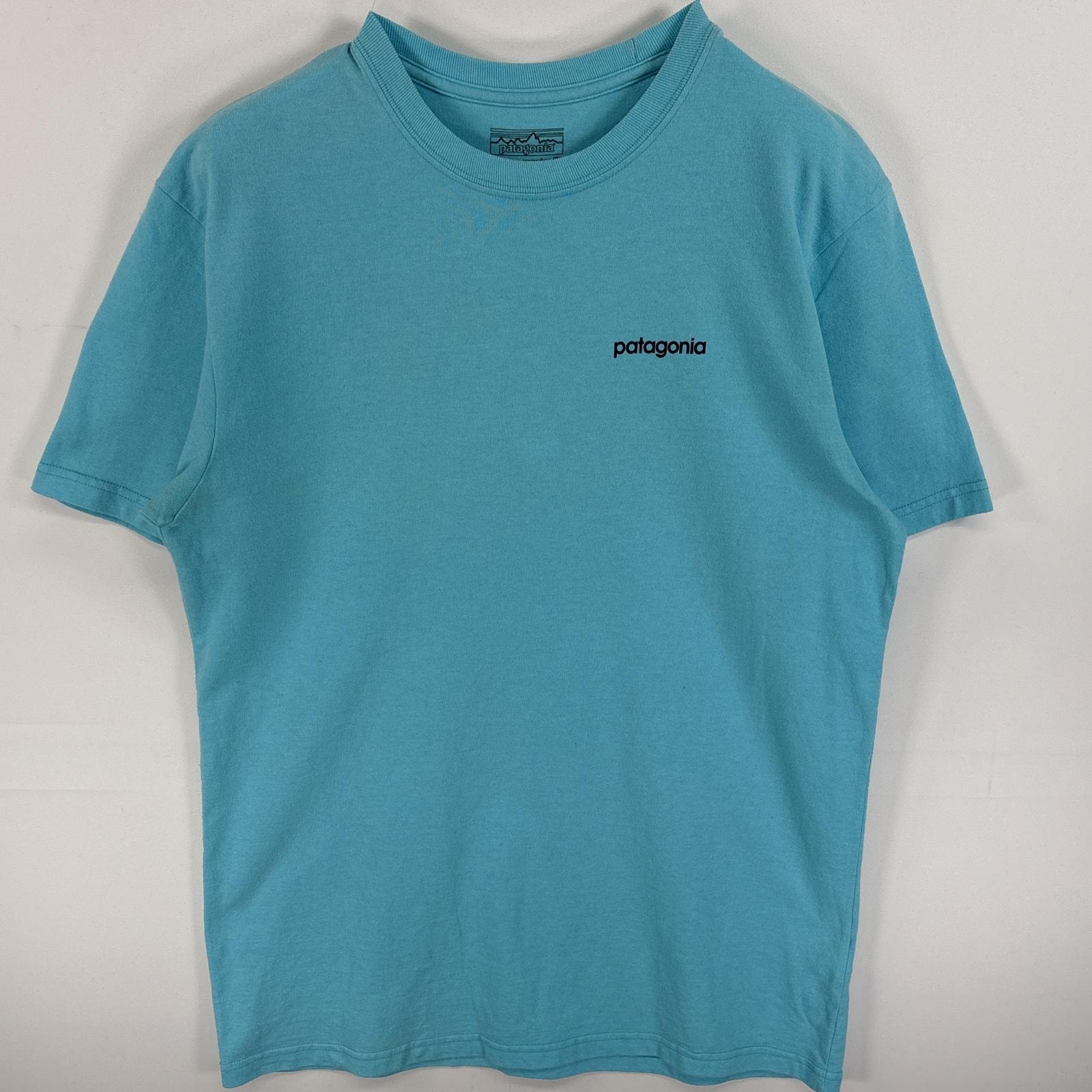 古着 パタゴニア patagonia 半袖Tシャツ 両面ラバープリント クルーネック REGULAR FIT M 水色 レディース