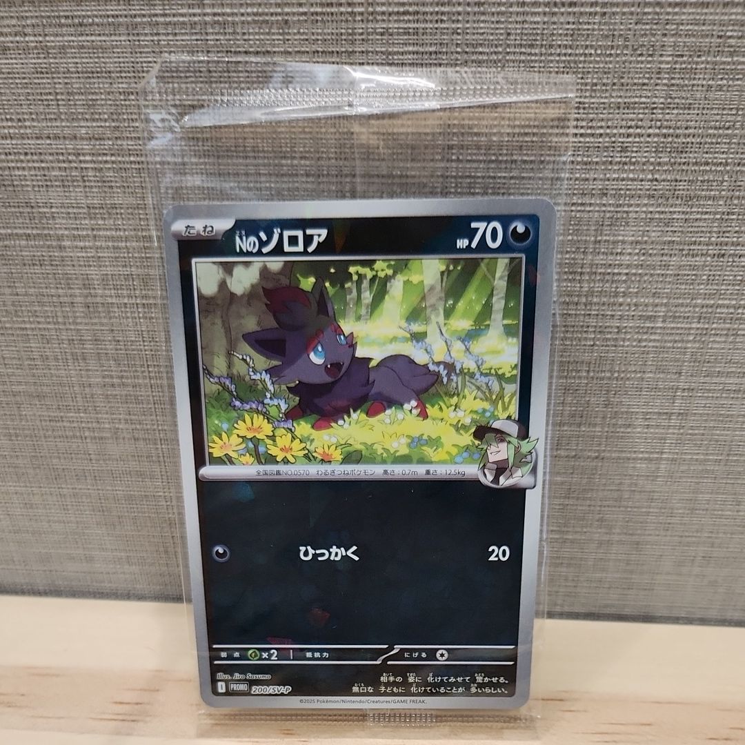 Nのゾロア P [SV-P 200](プロモーションカード「コレクションファイルセット N」)