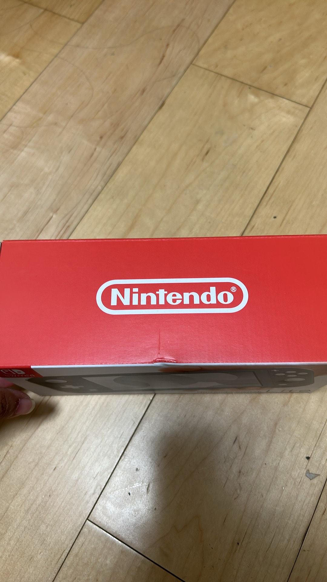 Nintendo Switch Lite Grey