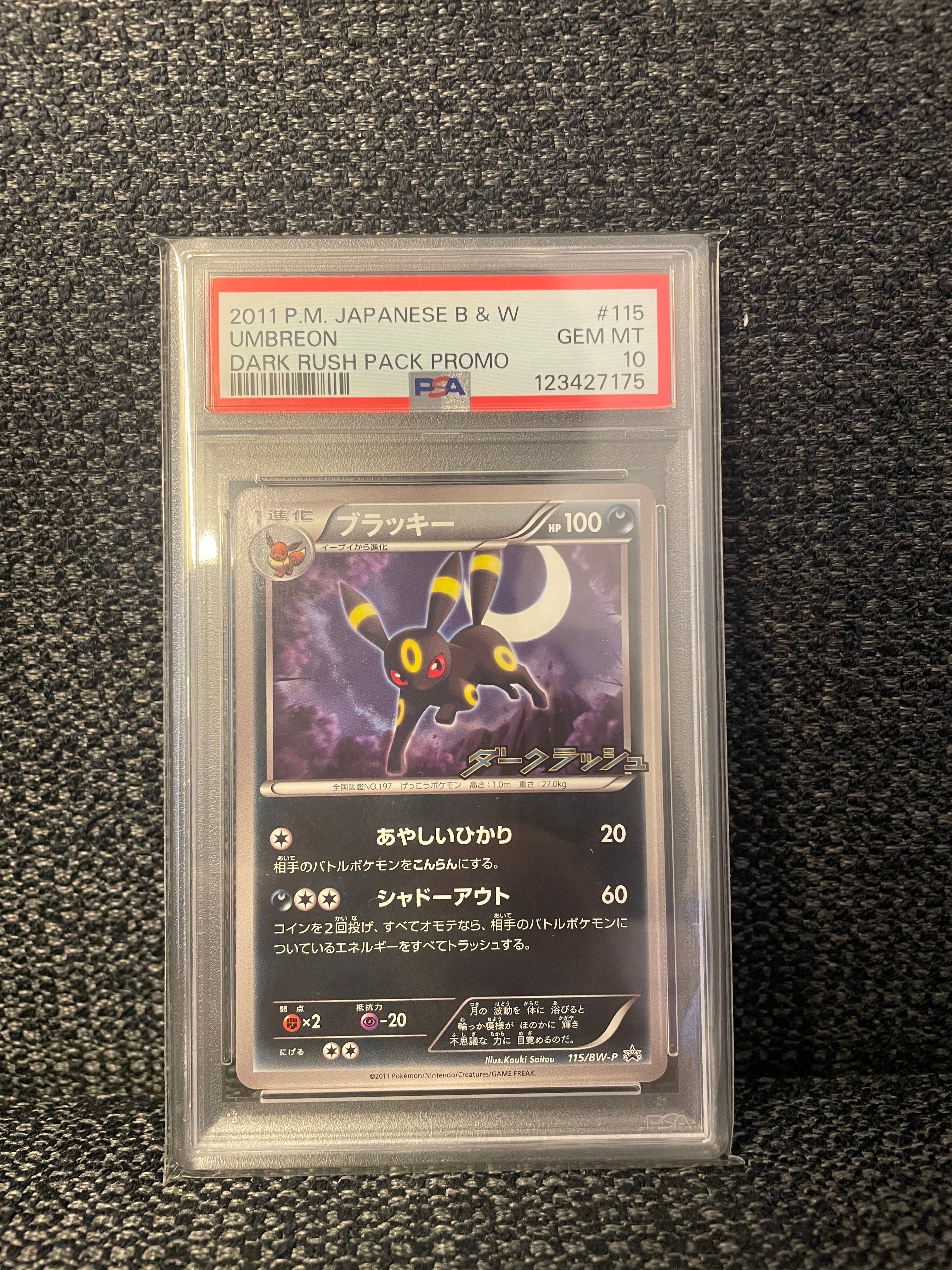 PSA10】ブラッキー P [BW-P 115/BW-P](プロモーションカード
