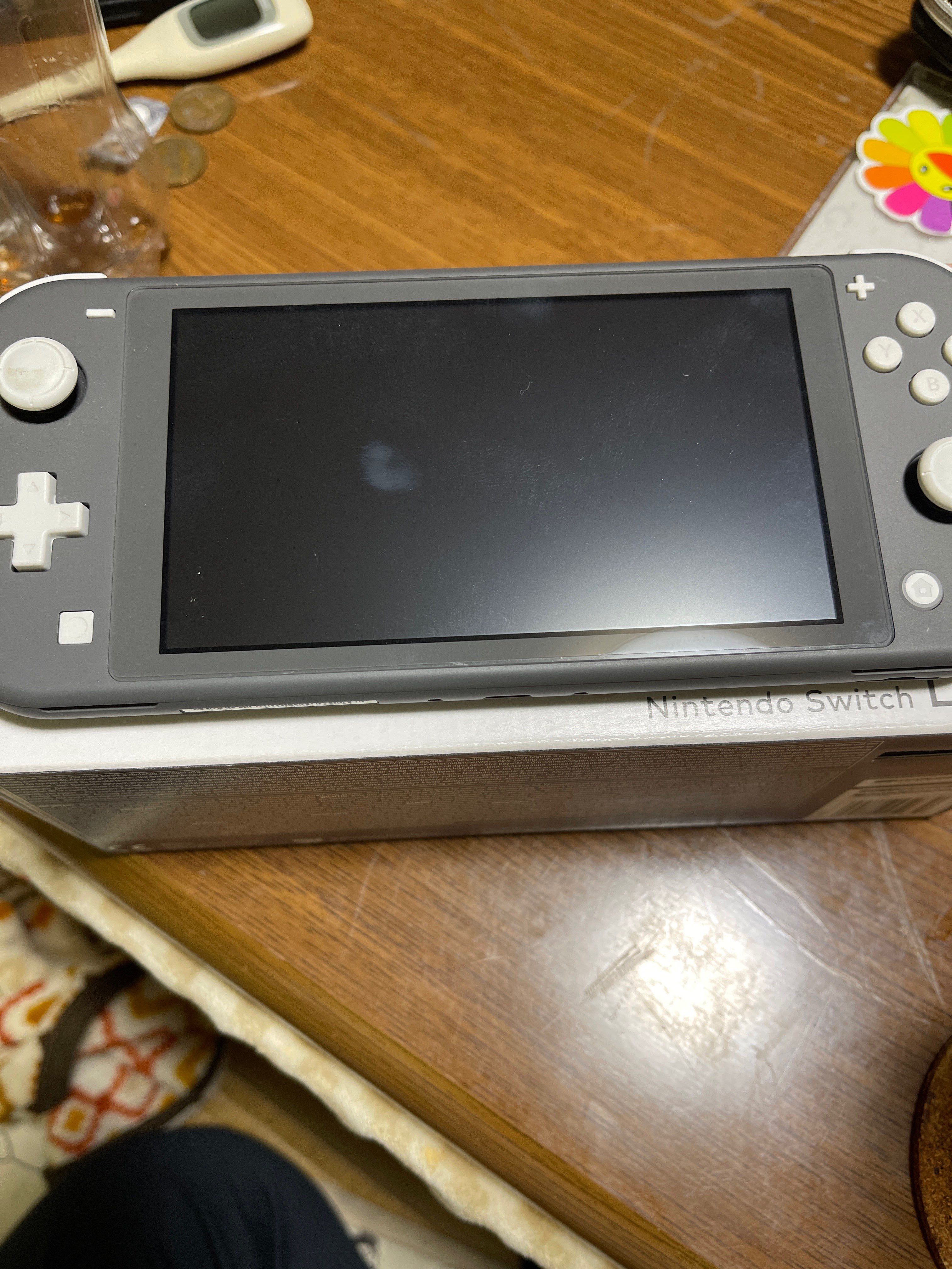 Nintendo Switch Lite Grey