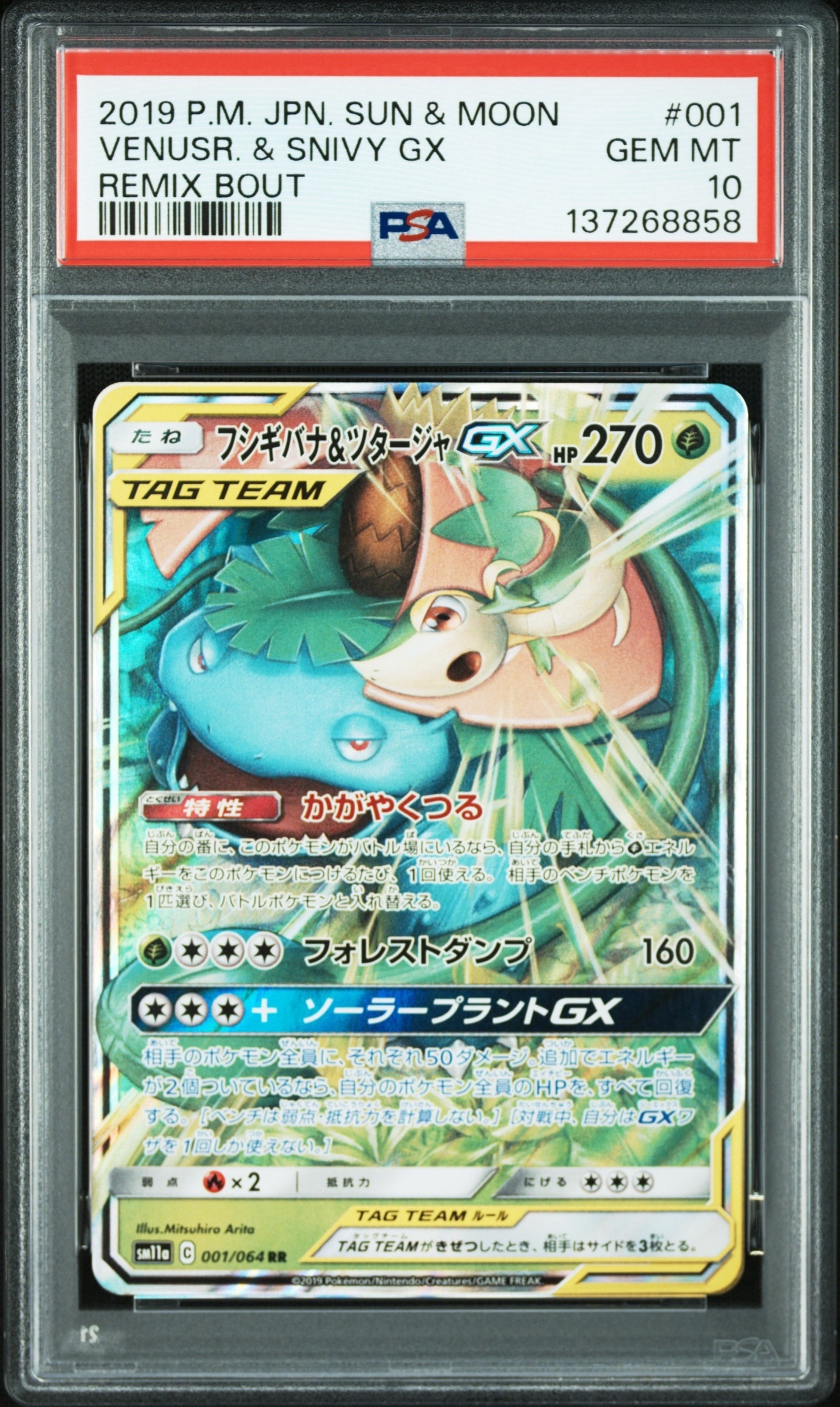 フシギバナ&ツタージャGX RR [SM11a 001/064](強化拡張パック