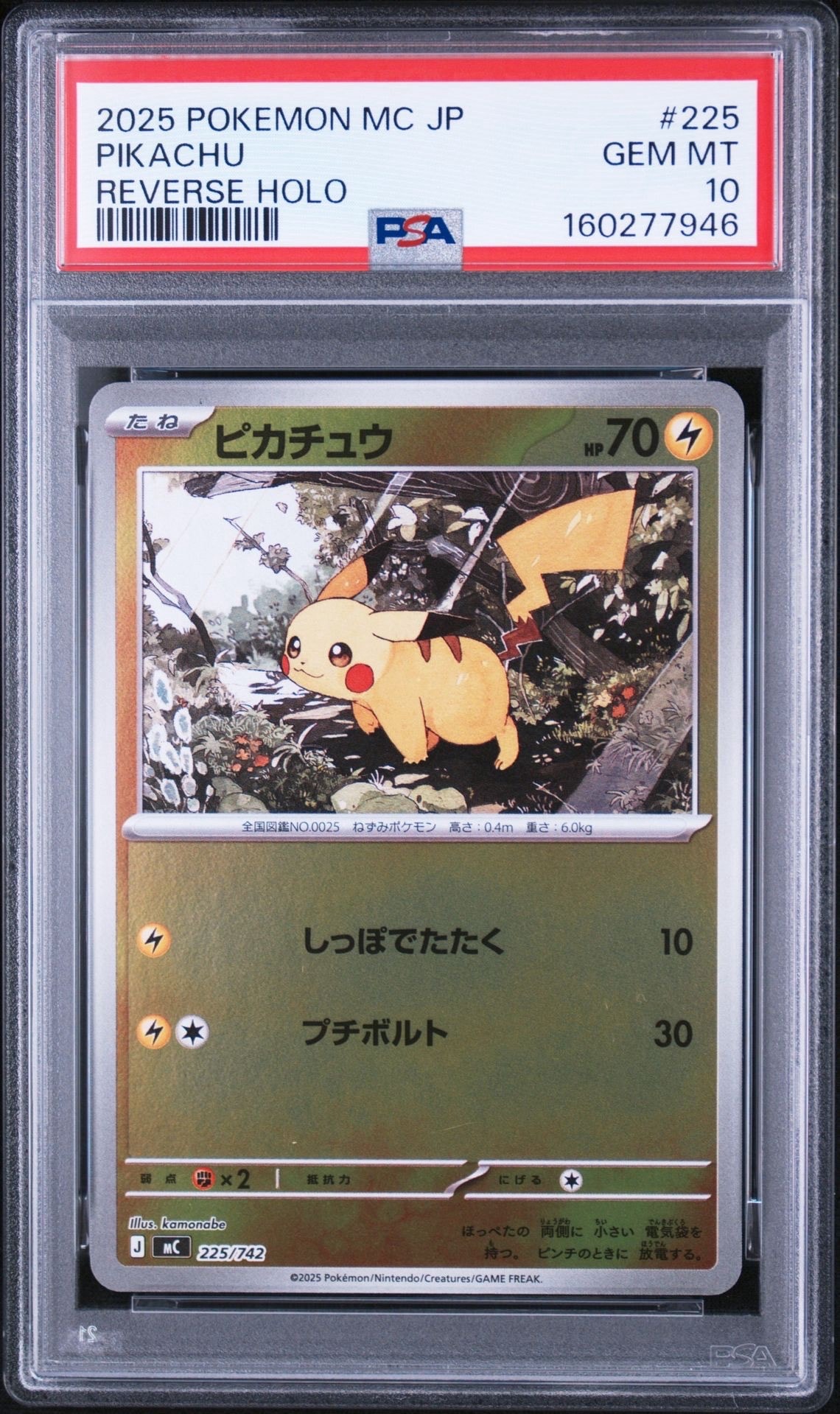ピカチュウ&ゼクロムGX SR: SA [SM9 101/095](拡張パック「タッグ