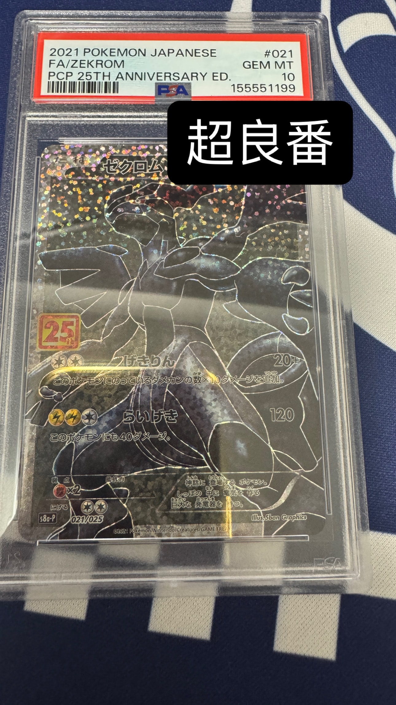 PSA10】ゼクロム: プロモ[S8a-P 021/025](プロモカードパック 25th