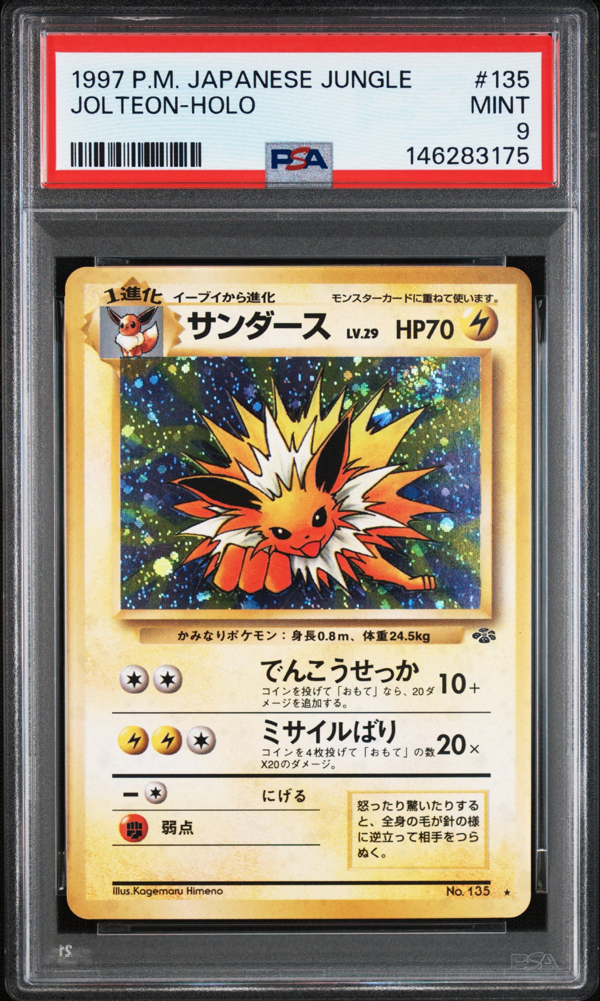 psa8 サンダース 旧裏 [PMCG2 No.135] ポケモンジャングル サンダース R: 旧裏 [PMCG2 No.135](拡張パック「ポケモンジャングル