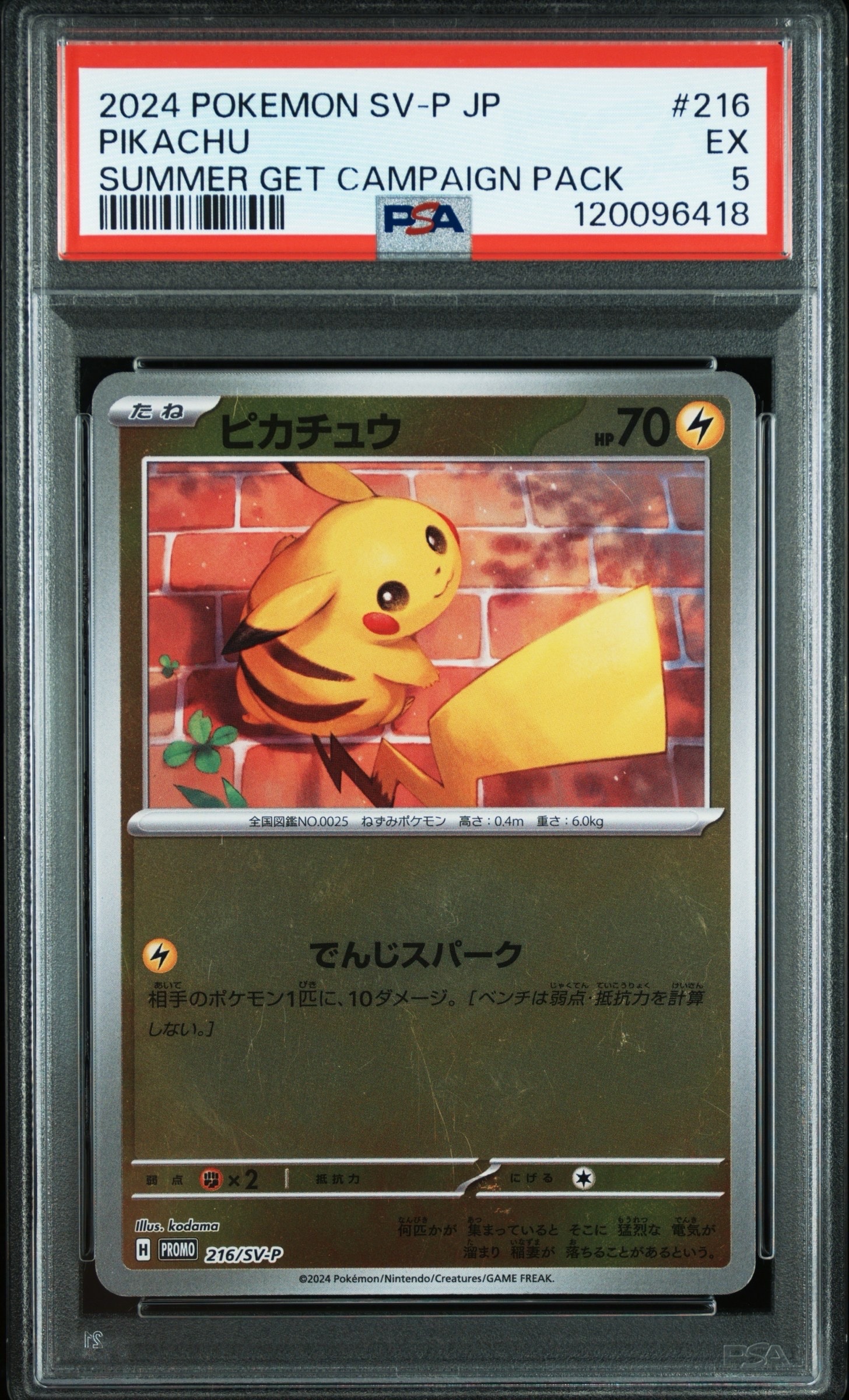 PSA10】ピカチュウ P [SV-P 216](プロモカードパック「ポケカの夏が