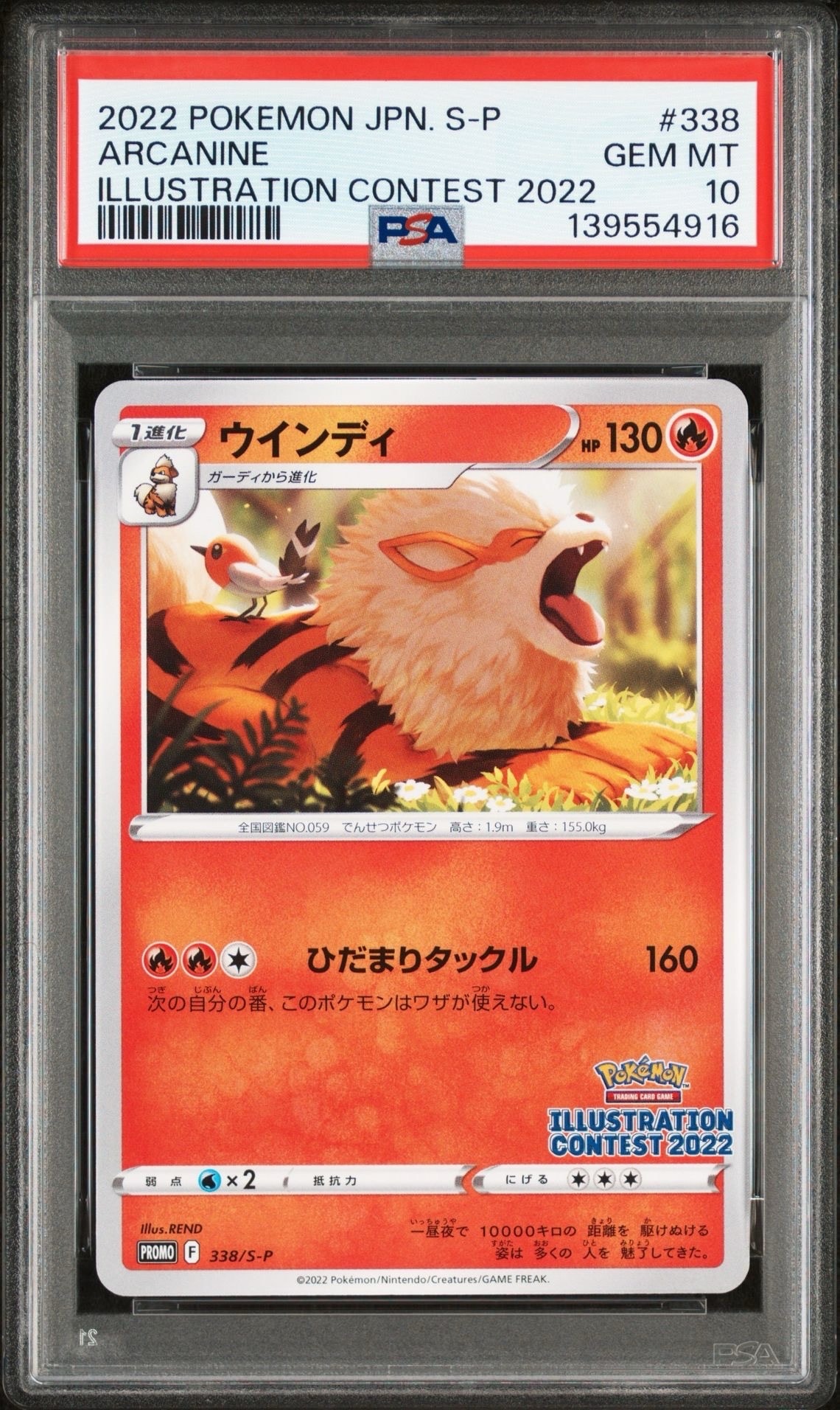 ウインディ プロモ[PROMO338 S-P](プロモーションカード「ポケモンセンター・ポケモンストア・ポケモンセンターオンライン2000円以上購入特典」)