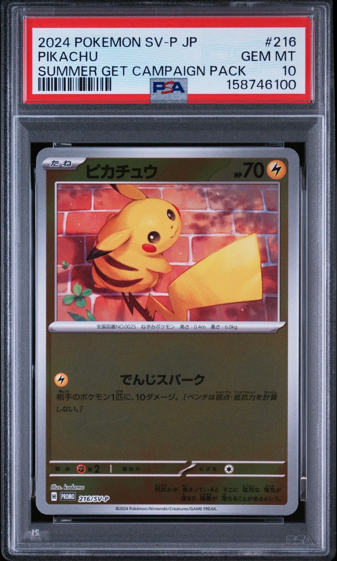 PSA10】ピカチュウ P [SV-P 216](プロモカードパック「ポケカの夏が