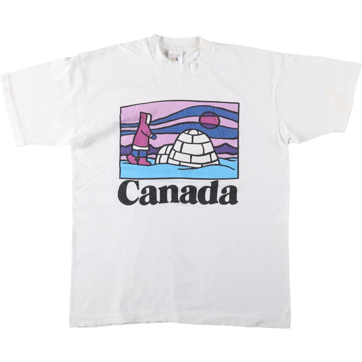 古着 90年代 フルーツオブザルーム FRUIT OF THE LOOM スーベニアTシャツ カナダ製 メンズL相当 ヴィンテージ/eaa626725