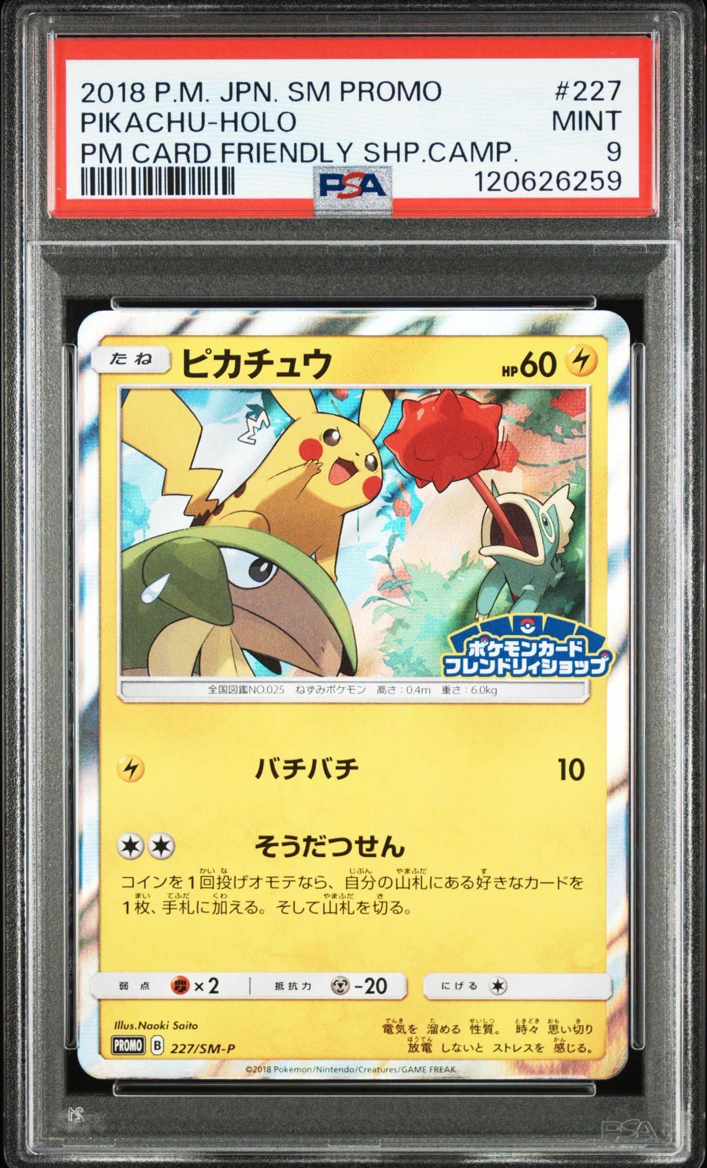 ピカチュウ[SM-P 227]ポケモンカードフレンドリィショップ限定キャンペーン PK-SM-P-227 ピカチュウ | ポケモンカード,SMシリーズ,プロモーション