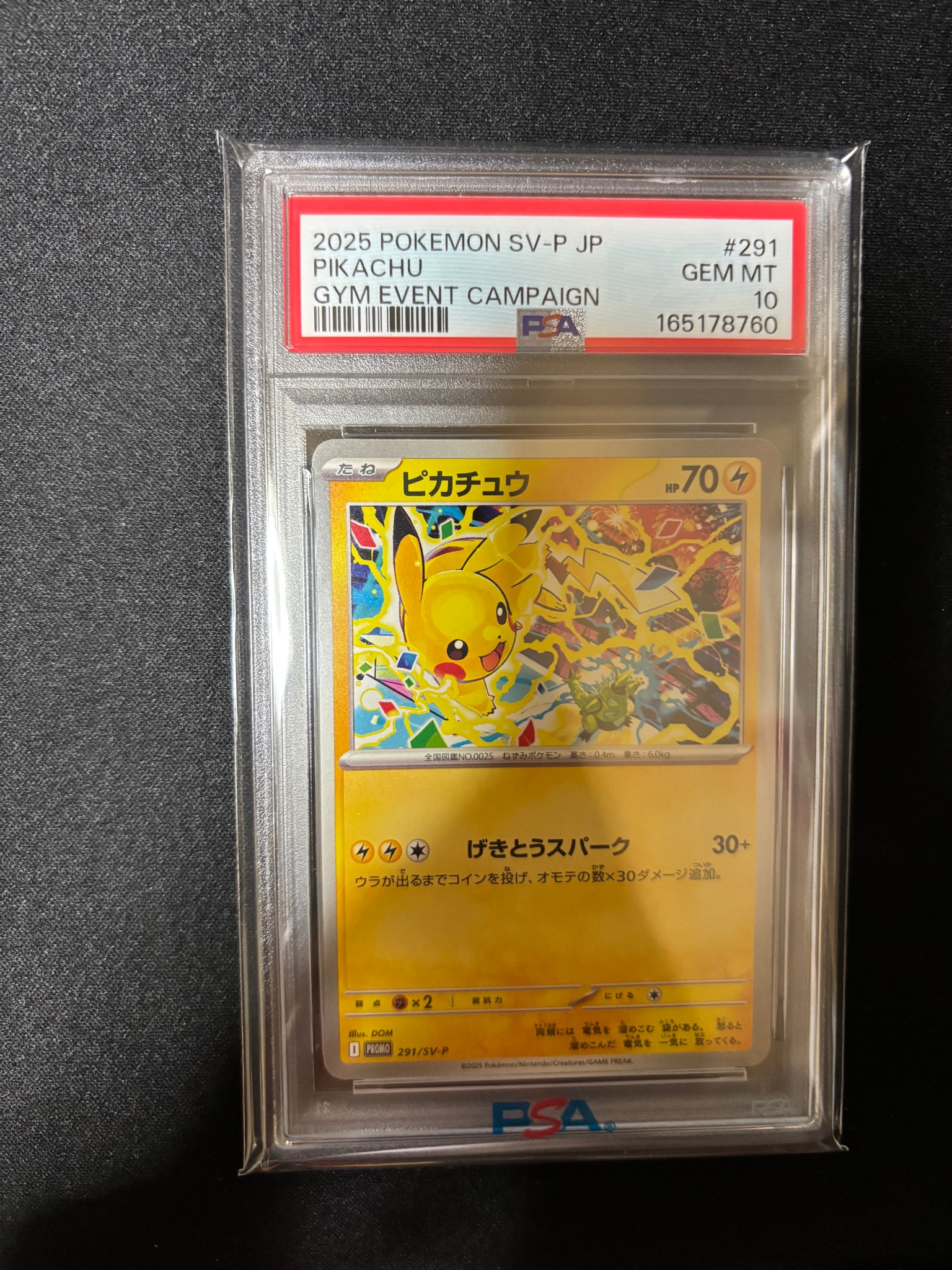 PSA10】ピカチュウ P [SV-P 291](プロモーションカード「SV-P」) 1枚の
