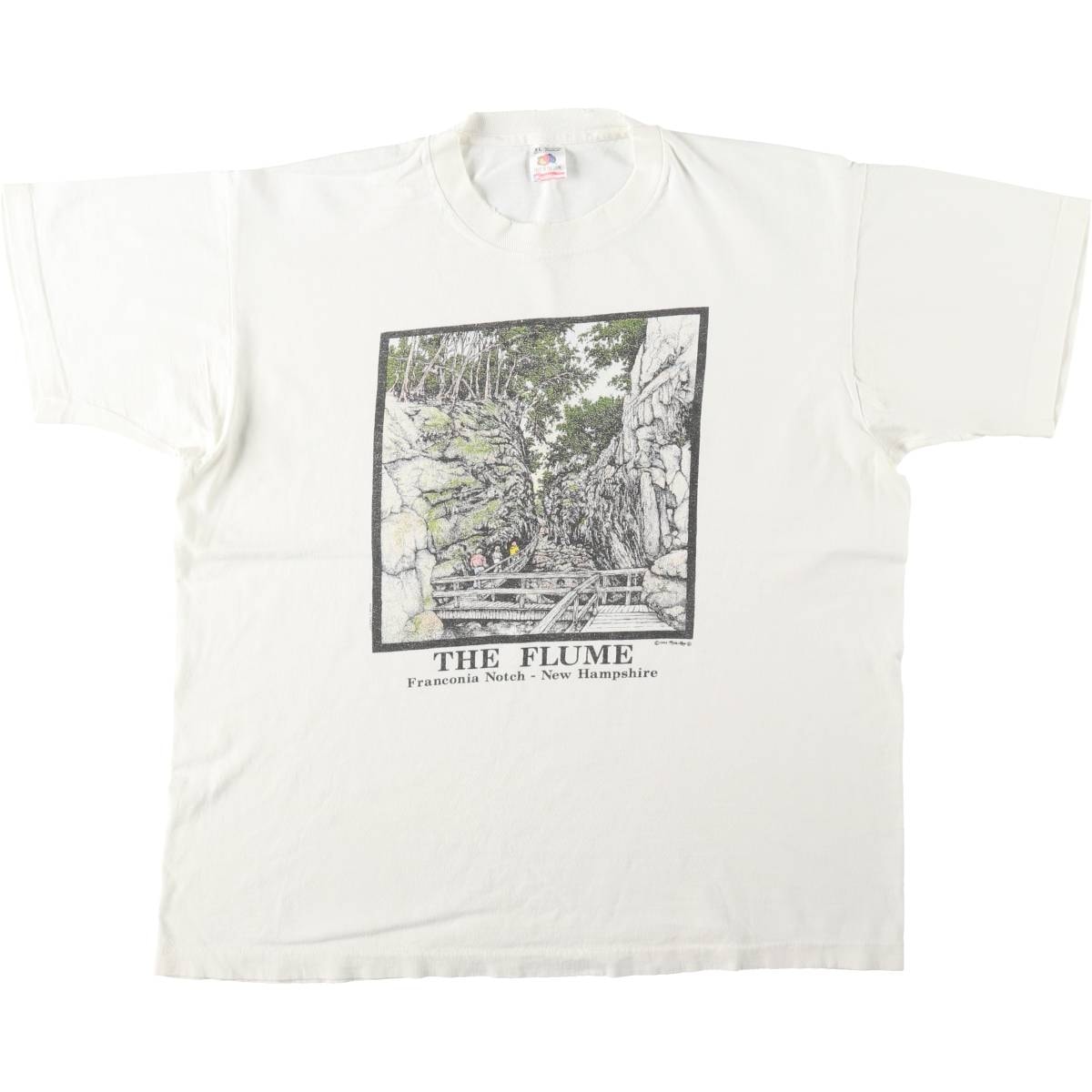 古着 90年代 フルーツオブザルーム FRUIT OF THE LOOM プリントTシャツ USA製 メンズXL相当 ヴィンテージ/eaa645166