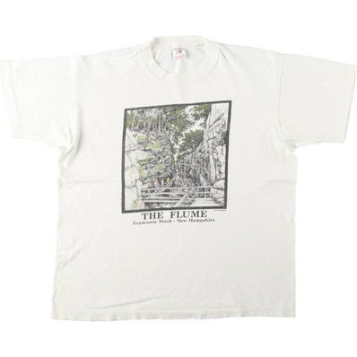 古着 90年代 フルーツオブザルーム FRUIT OF THE LOOM プリントTシャツ USA製 メンズXL相当 ヴィンテージ/eaa645166