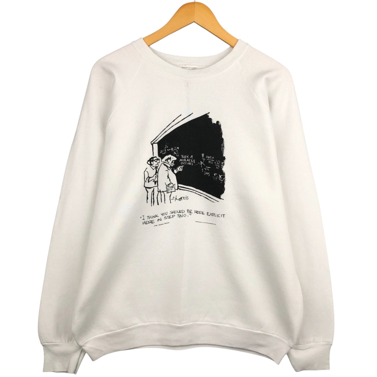 古着 80年代 フルーツオブザルーム FRUIT OF THE LOOM SIDNEY HARRIS シドニー ハリス メッセージ プリントスウェットシャツ トレーナー USA製 メンズXL相当 ヴィンテージ/eaa594803