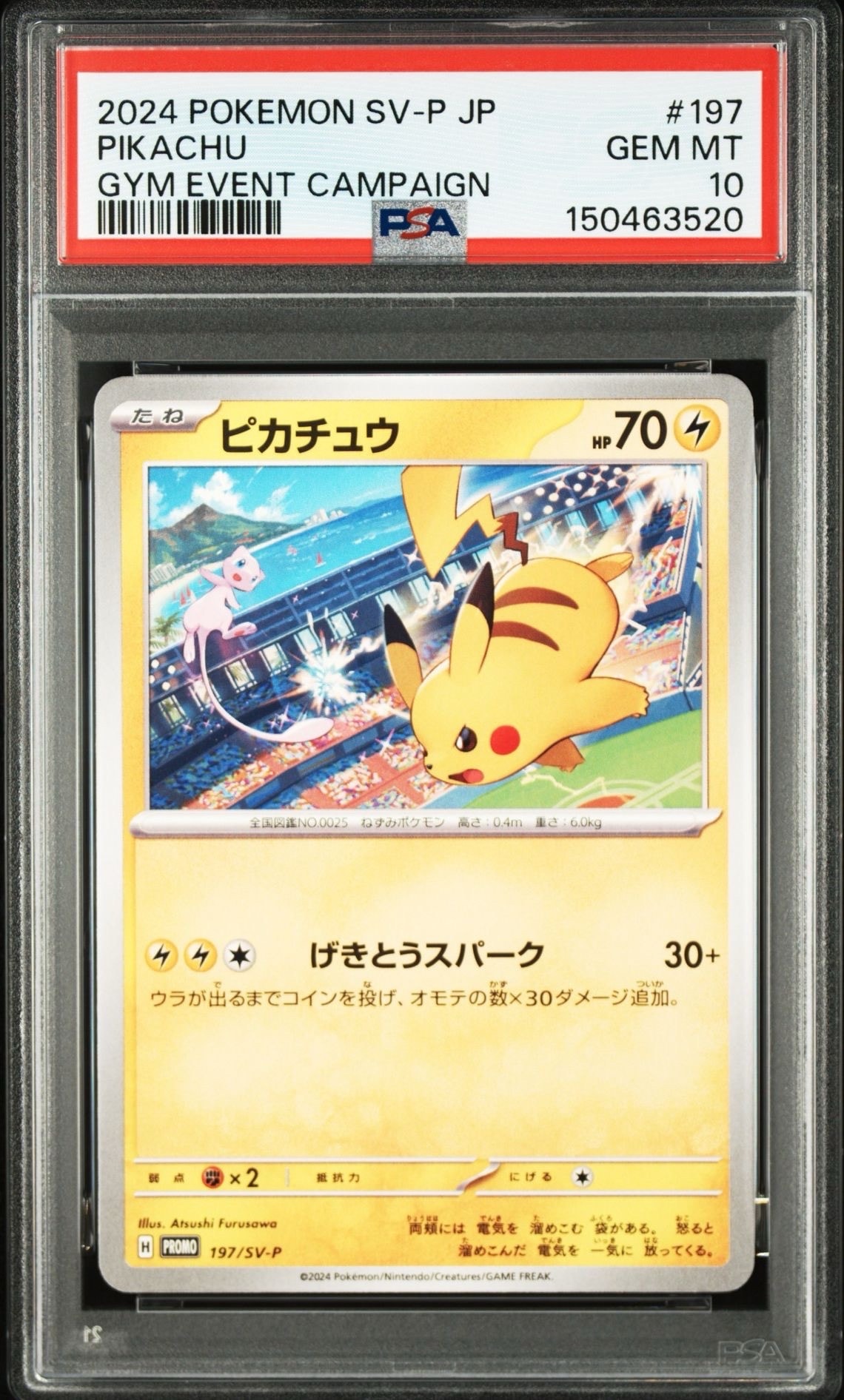 桜アフロのピカチュウ: プロモ[SM-P 211](プロモーションカード「SM-P