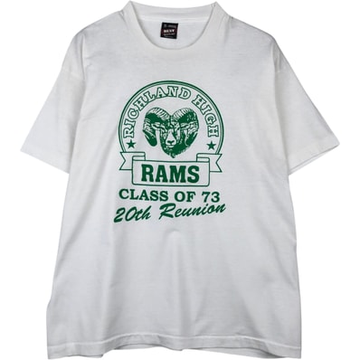 古着 90年代 フルーツオブザルーム FRUIT OF THE LOOM BEST カレッジTシャツ USA製 メンズXL相当 ヴィンテージ/eaa641660
