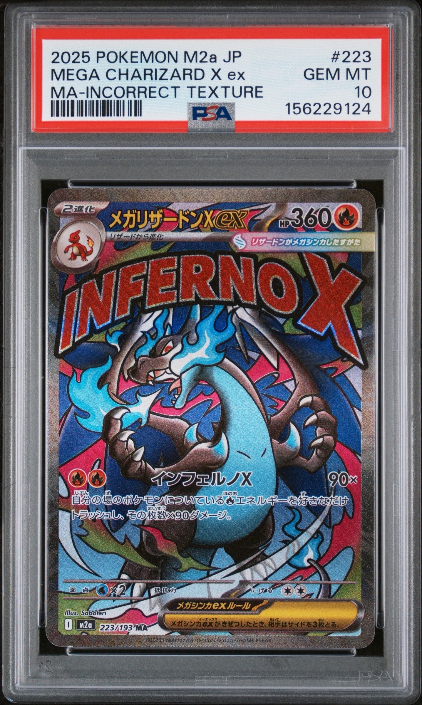 センパイとコウハイ SR :1ED [XY5-G 077/070](拡張パック「ガイア