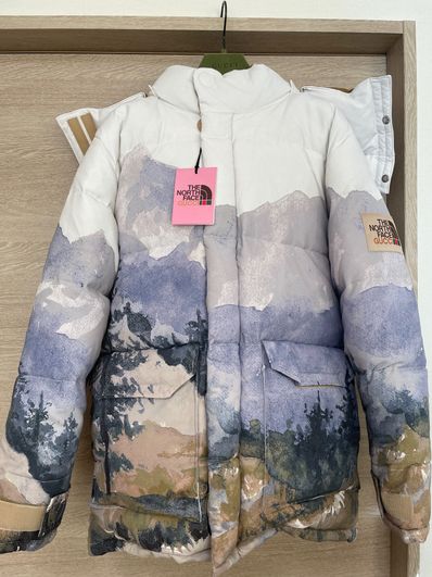 GUCCI×ノースフェイス ダウンジャケット