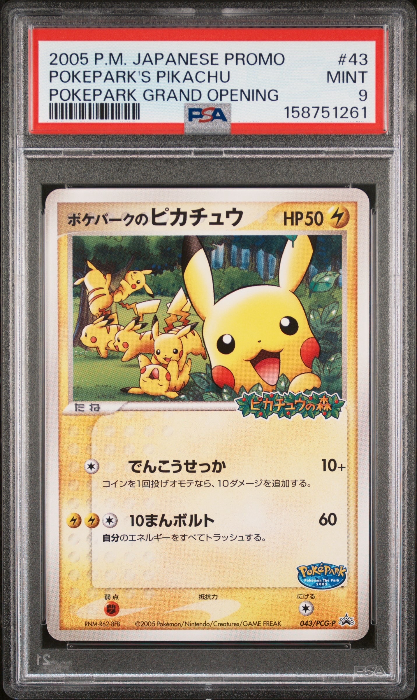 ポケパークのピカチュウ P [PCG-P 043](プロモーションカード